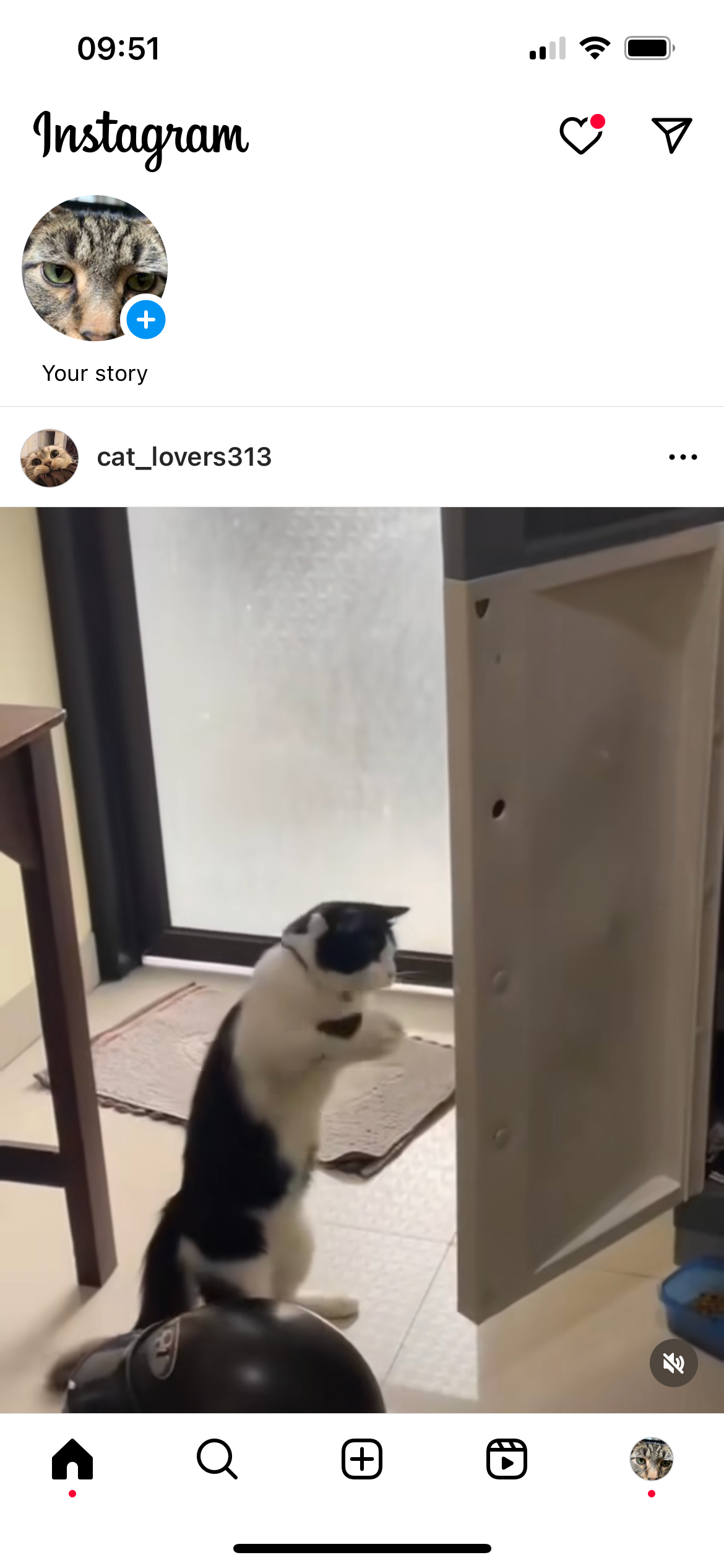 So verwenden Sie den Vanish Modus auf Instagram