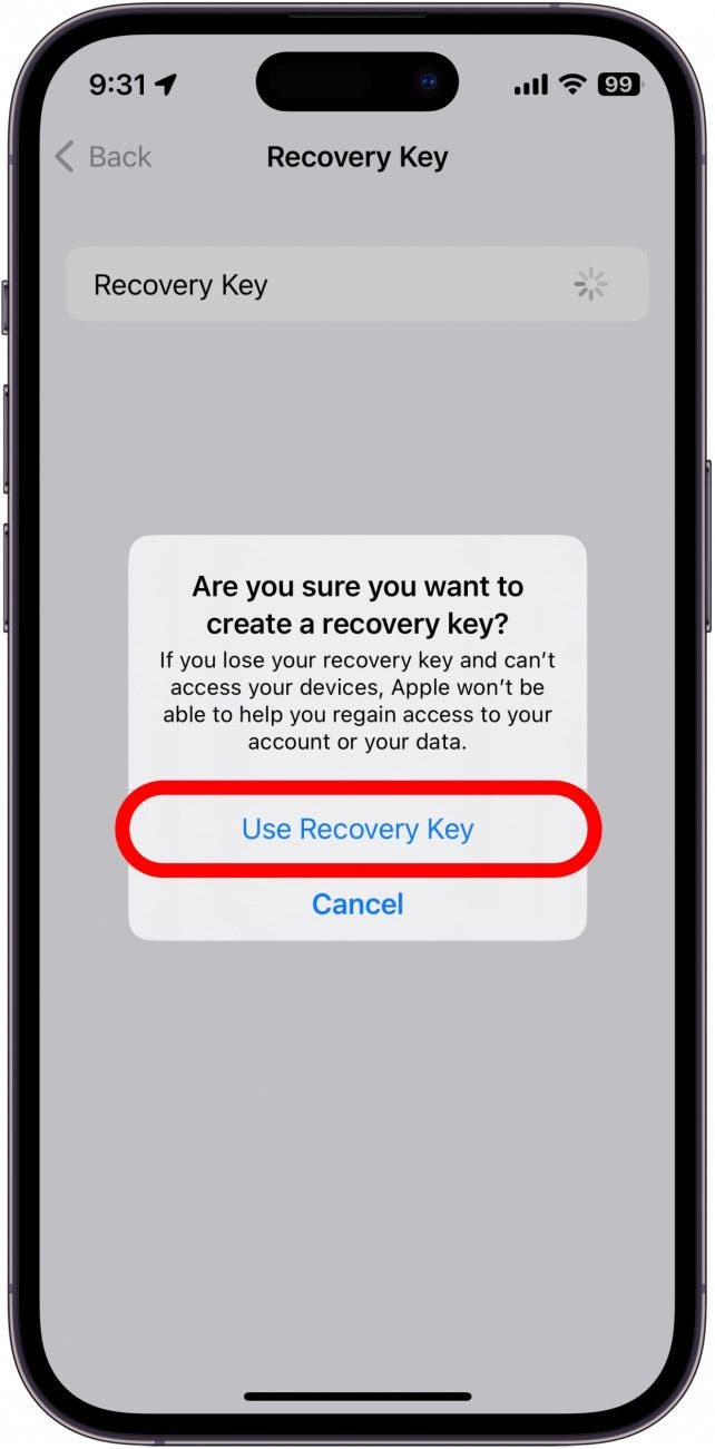 Auf dem Bildschirm mit dem Wiederherstellungsschlüssel für das iPhone-Konto wird ein Popup angezeigt, in dem der Benutzer gefragt wird, ob er diese Funktion wirklich aktivieren möchte, mit einem roten Kästchen um „Wiederherstellungsschlüssel verwenden“.