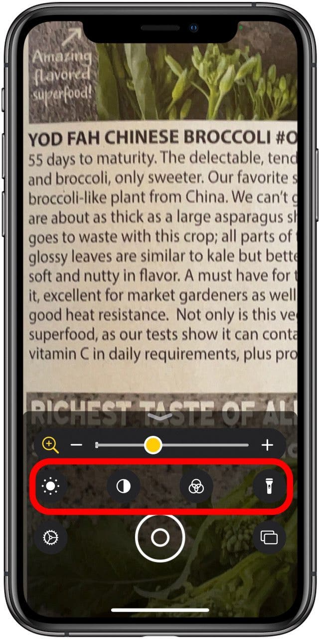 iPhone-Lupe-Optionen