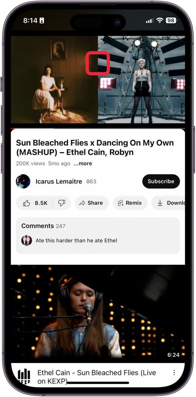 wie man ein YouTube-Video in einer Schleife abspielt
