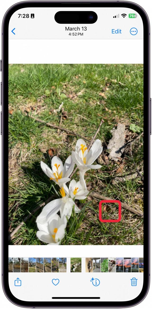 Ton auf Live-Fotos