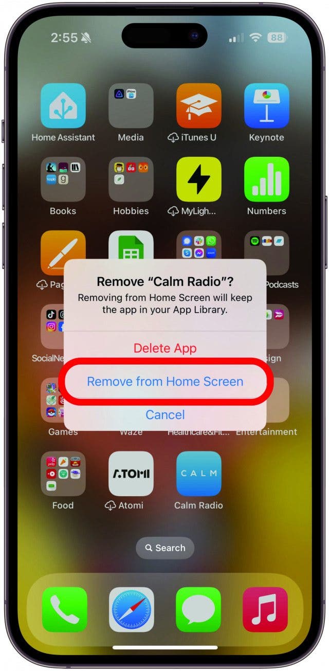 1713211991 773 Organisieren Sie Ihren iPhone Startbildschirm und Ihre Apps