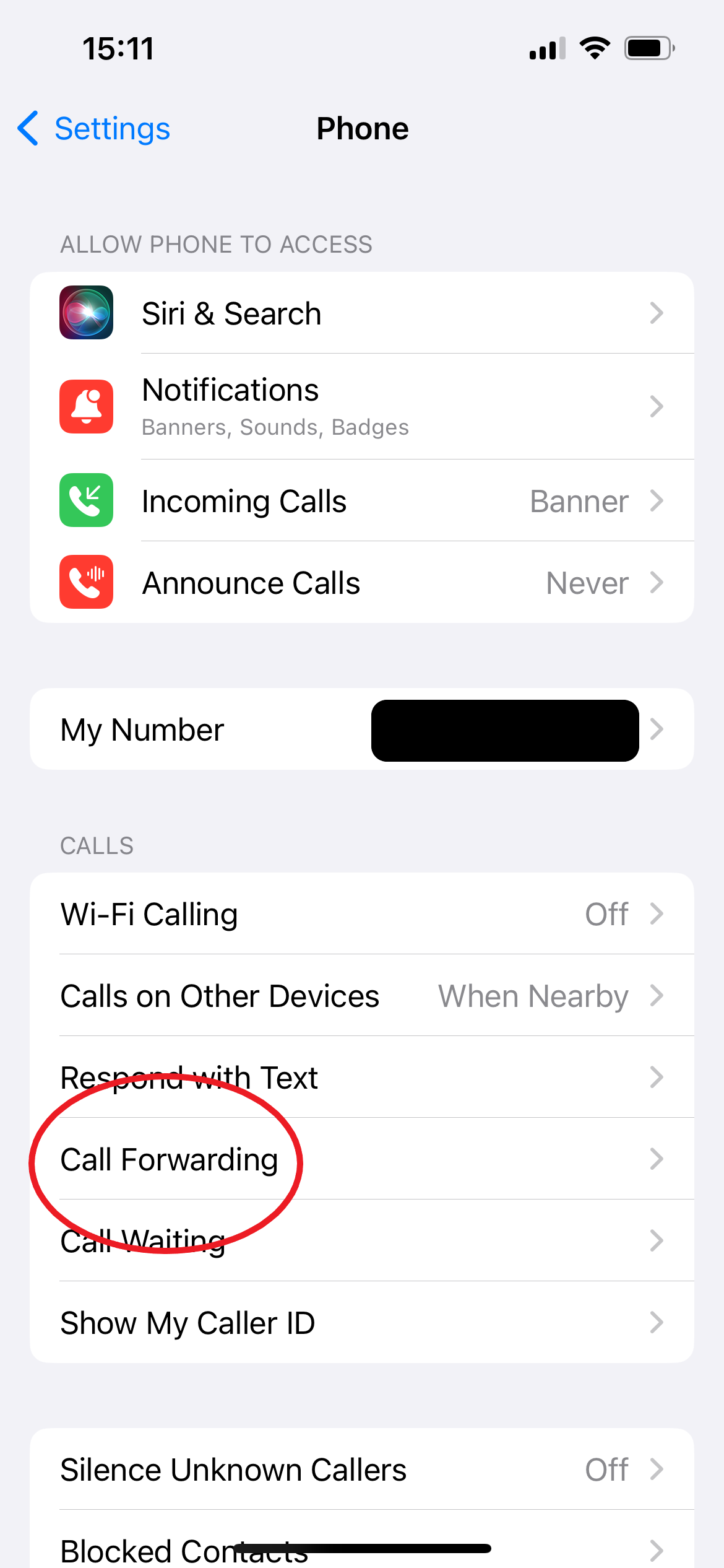 1713281825 819 So richten Sie die Anrufweiterleitung auf Ihrem iPhone ein und