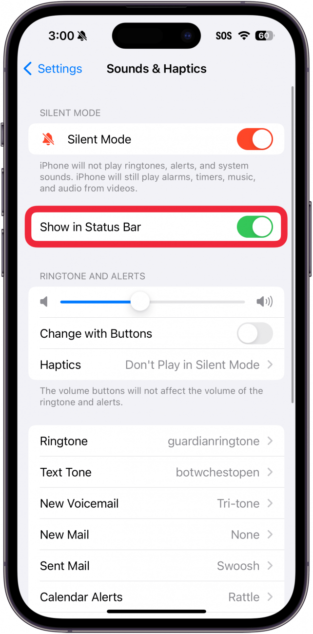 iPhone-Sounds und Haptikeinstellungen mit einem roten Kästchen um die Anzeige in der Statusleiste