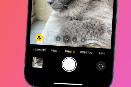 1714549041 Beantwortet Was ist die Blume auf der iPhone Kamera