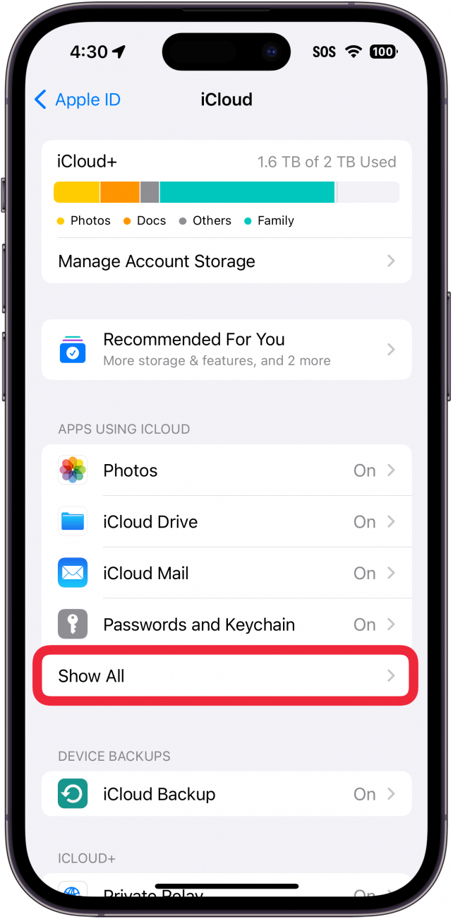 iPhone iCloud-Einstellungen mit einem roten Kästchen um die Schaltfläche „Alle anzeigen“.