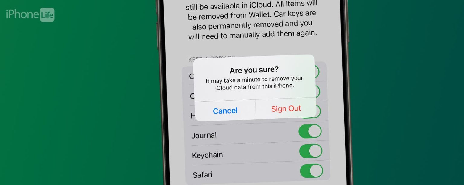 1715919184 So deaktivieren Sie iCloud auf dem iPhone in wenigen einfachen