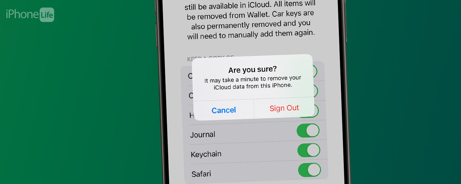 1715919184 So deaktivieren Sie iCloud auf dem iPhone in wenigen einfachen