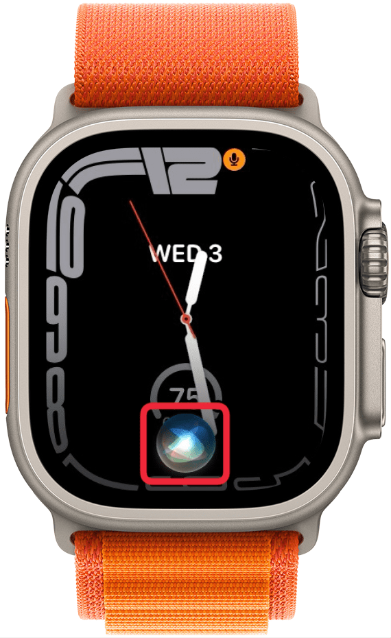 Apple-Watch-Zifferblatt mit einem roten Kästchen um das Siri-Symbol
