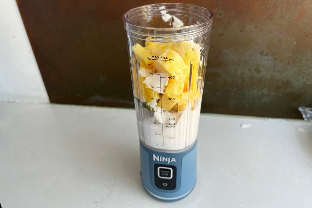 Tragbarer kabelloser Mixer Ninja Blast mit Zutaten