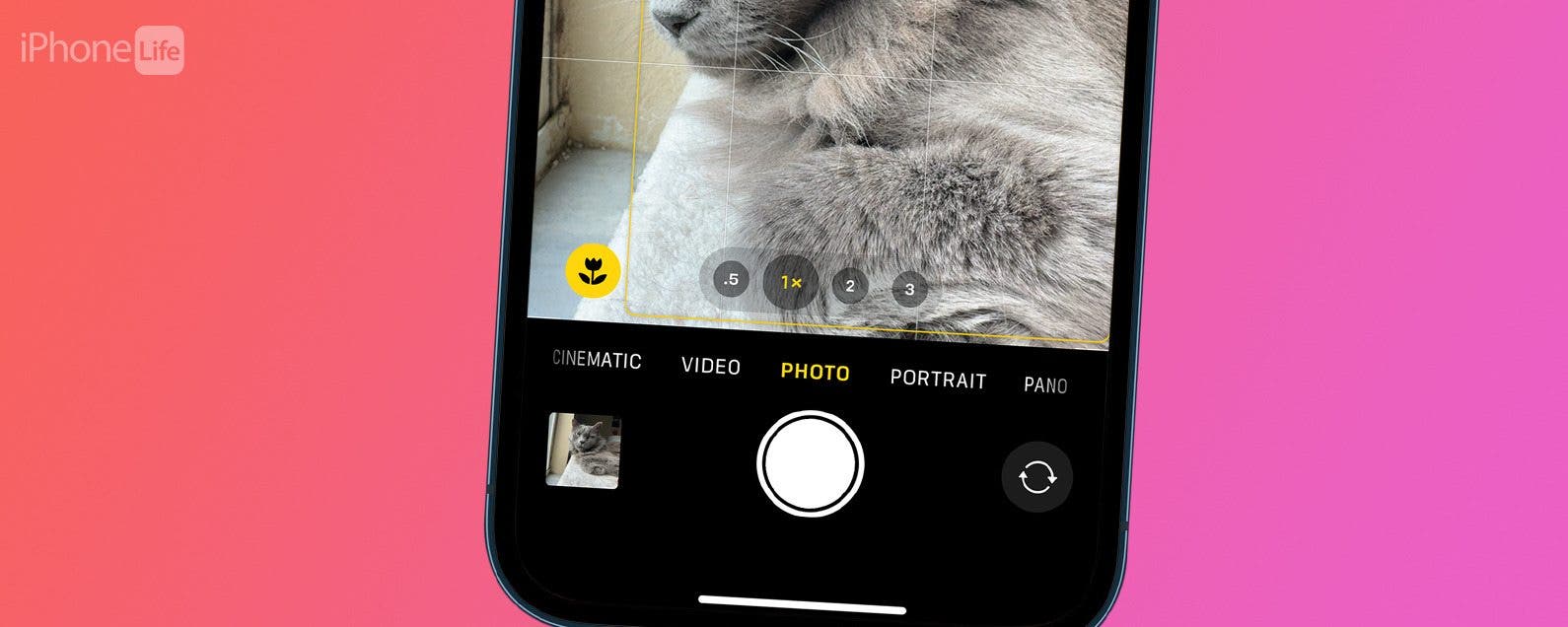 Beantwortet Was ist die Blume auf der iPhone Kamera