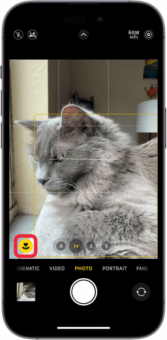 iPhone-Kamera-App, die ein gelbes Blumensymbol mit einem roten Kästchen darum herum anzeigt