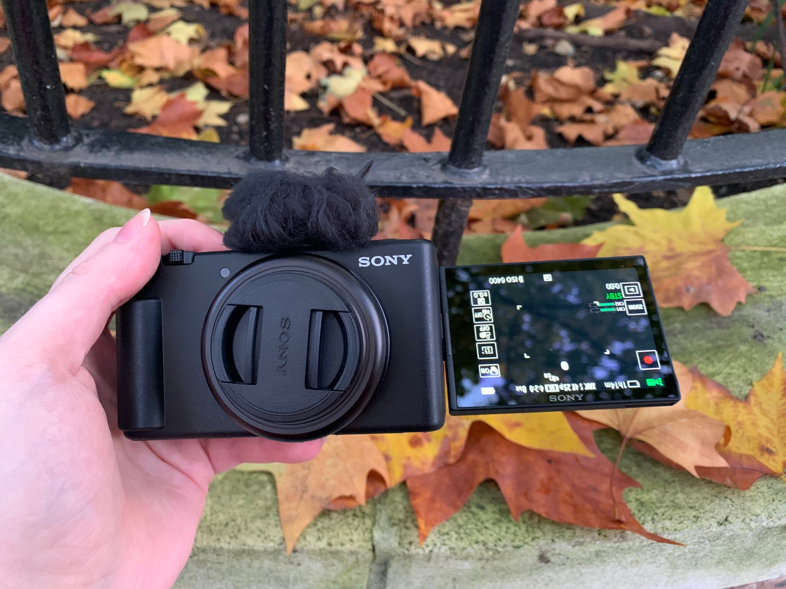Sony ZV-1F-Display