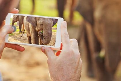 So verwenden Sie Autofokus und automatische Belichtungssperre auf Ihrer iPhone Kamera
