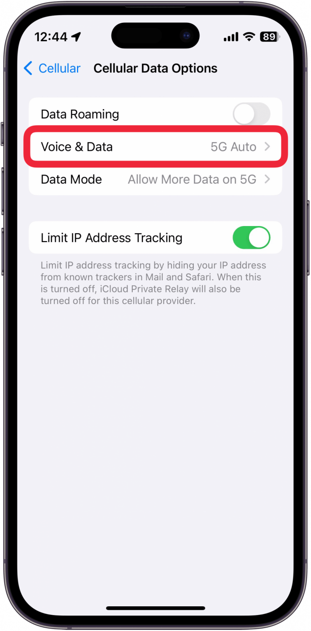 iPhone-Mobilfunkdaten-Optionsmenü mit einem roten Kästchen um Sprache und Daten