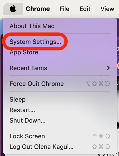 Klicken Sie oben links in Ihrer Menüleiste auf das Apple-Logo und wählen Sie „Systemeinstellungen“.
