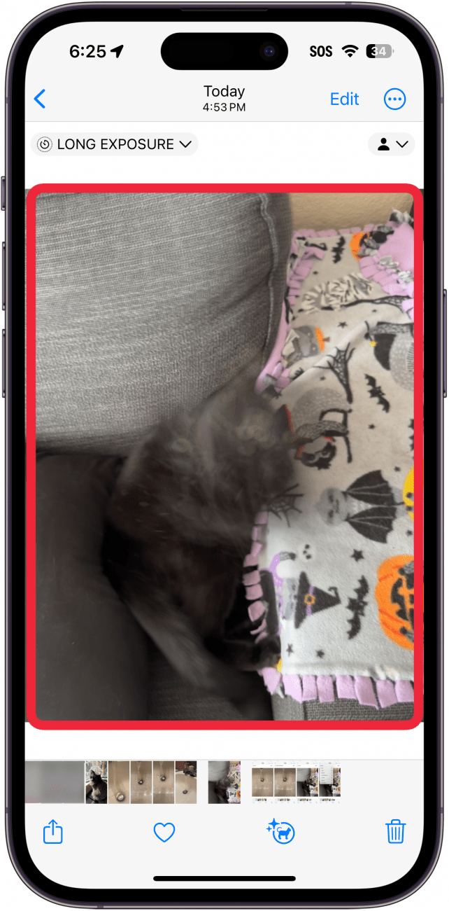 iPhone-Fotos-App um ein jetzt konvertiertes Langzeitbelichtungsfoto einer schwarzen Katze, die mit einer Schnur spielt