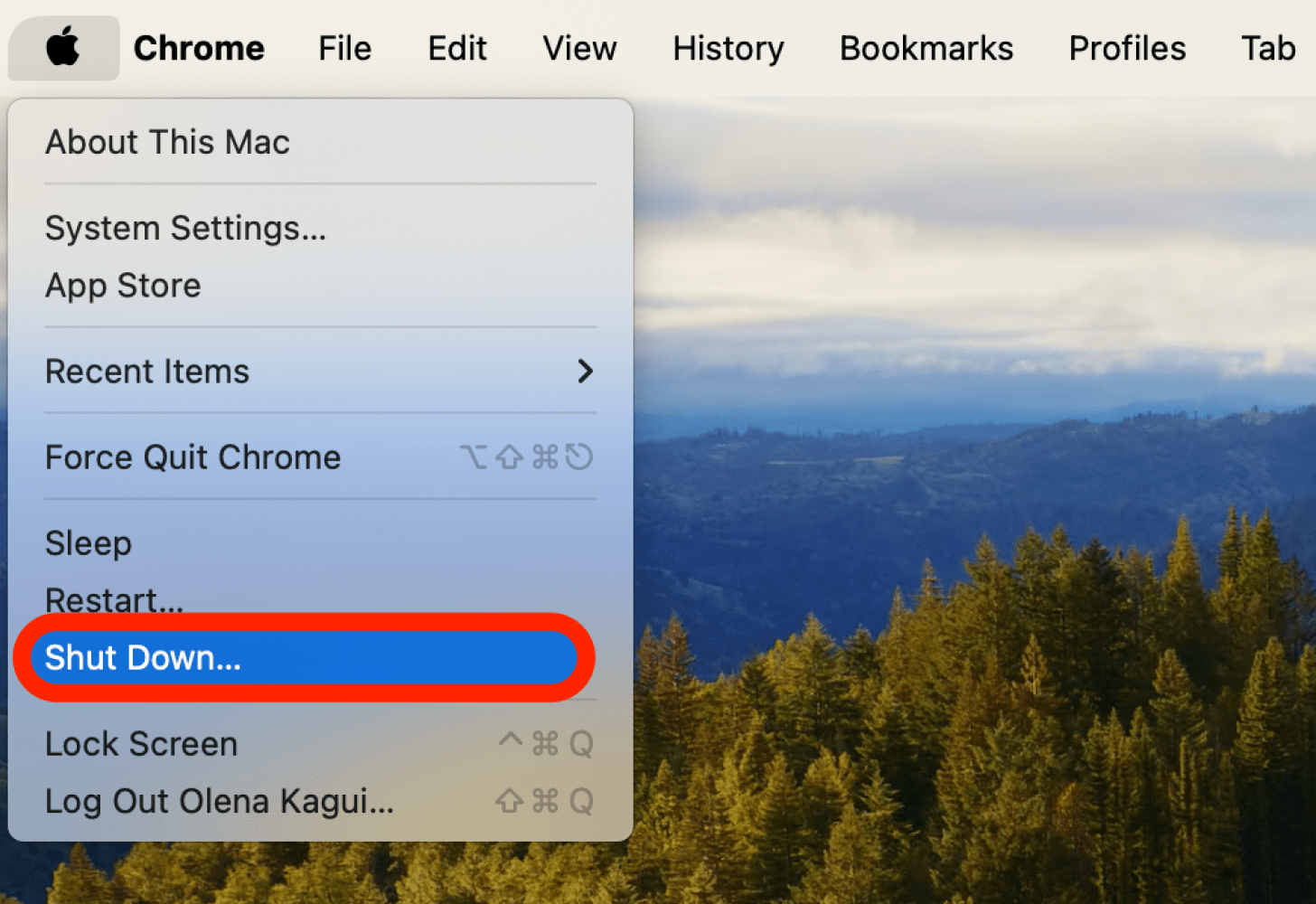 Wenn die Tasten auf Ihrer Mac-Tastatur nicht funktionieren, schalten Sie Ihren Mac aus und trennen Sie ihn von der Stromquelle. Halten Sie dann Ihre Tastatur in verschiedenen Winkeln und entfernen Sie mit einer Druckluftdose den Schmutz, der die Taste feststecken lässt.