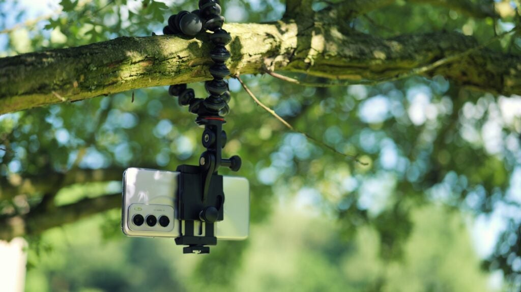 Joby GripTight Pro 2 GorillaPod hängt an einem Baum