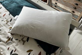 1721413463 Amazon Basics Deluxe Daunen Alternative Kissen im Test