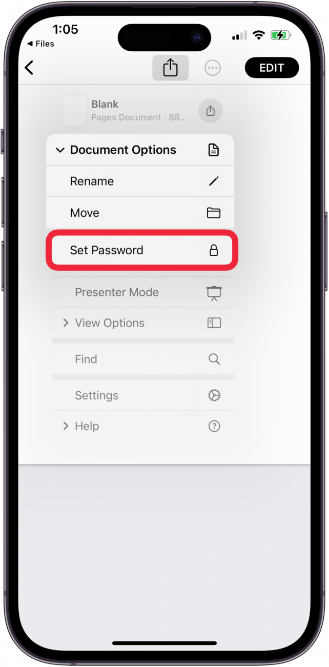 Tippen Sie auf „Passwort festlegen“, um die Pages-Datei auf dem iPhone auszublenden