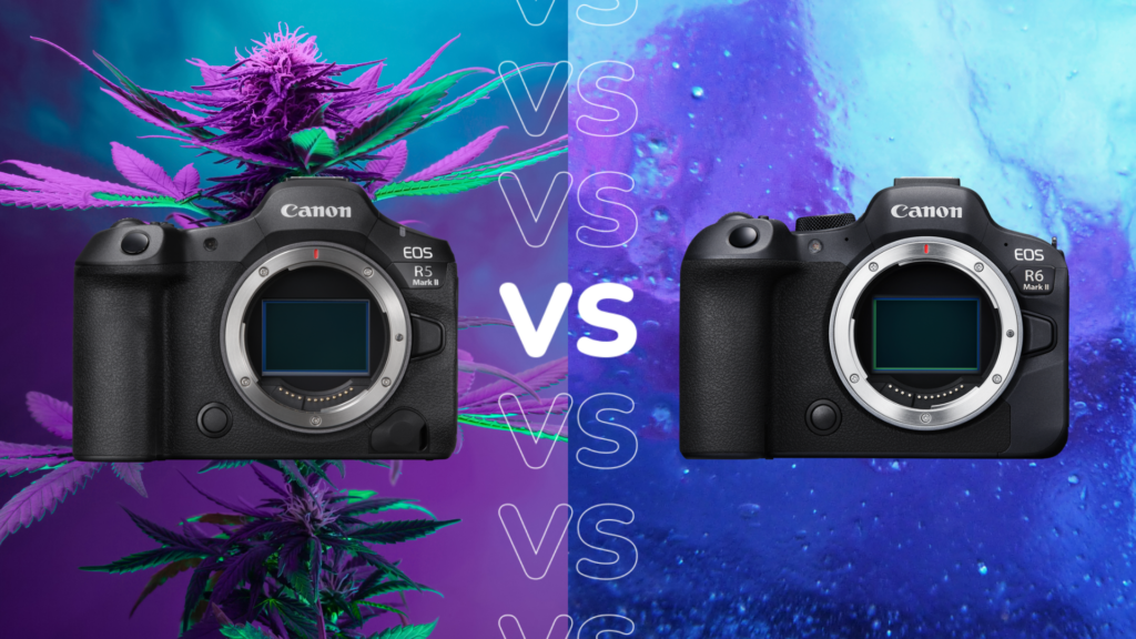 Canon EOS R5 Mark II vs EOS R6 Mark II