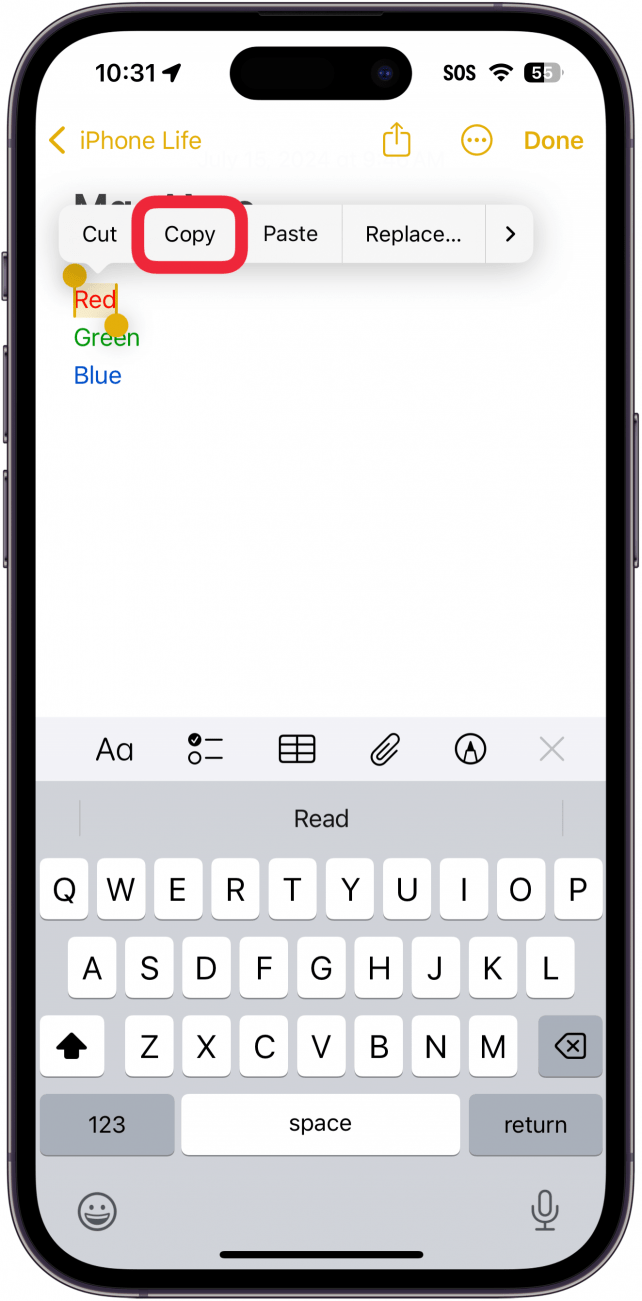 iPhone-Notizen-App mit einer geöffneten Notiz, die Textoptionen mit einem roten Kästchen um die Schaltfläche „Kopieren“ anzeigt