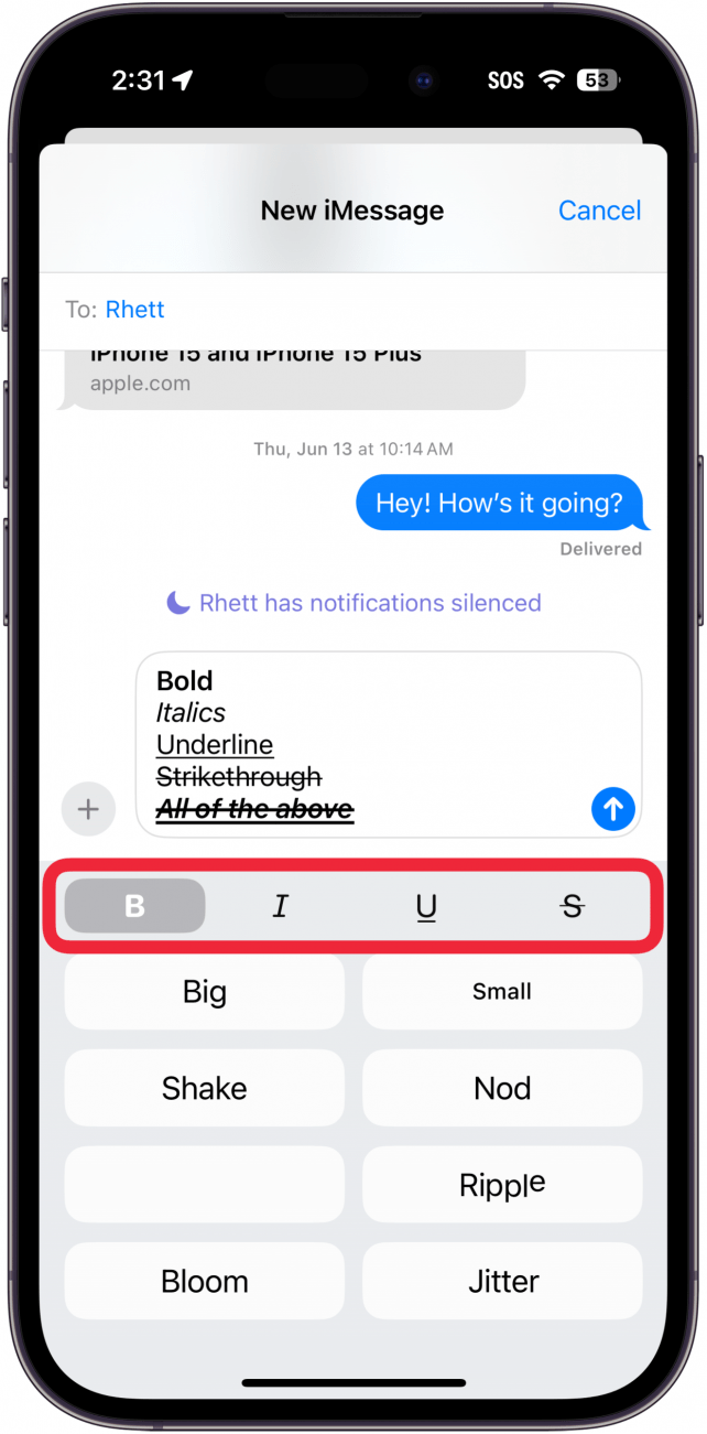 iPhone-Nachrichten-App zeigt verschiedene Texteffekte mit einem roten Kästchen um die Optionen für Fett, Kursiv, Unterstrichen und Durchgestrichen an