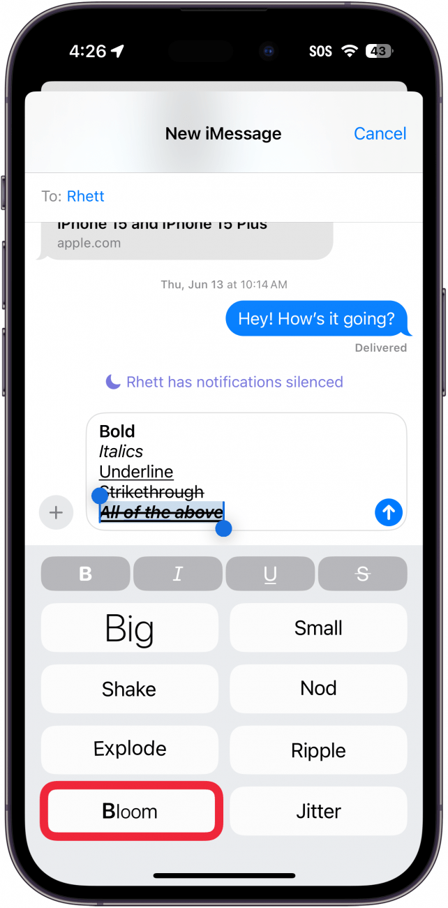 iPhone-Nachrichten-App zeigt verschiedene Texteffekte mit einem roten Kästchen um eine Blüte an