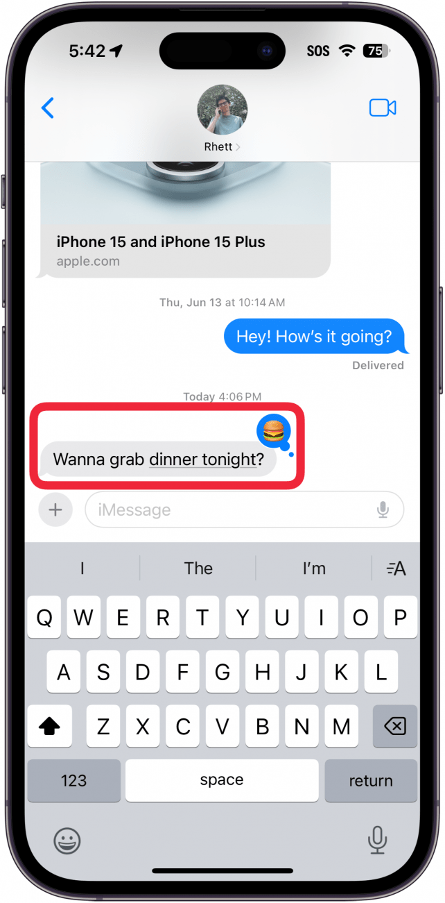 iPhone-Nachrichten-App mit einem roten Kästchen um die Nachrichtenblase, in der sich eine kleinere, zweite Blase mit einem Cheeseburger-Emoji befindet