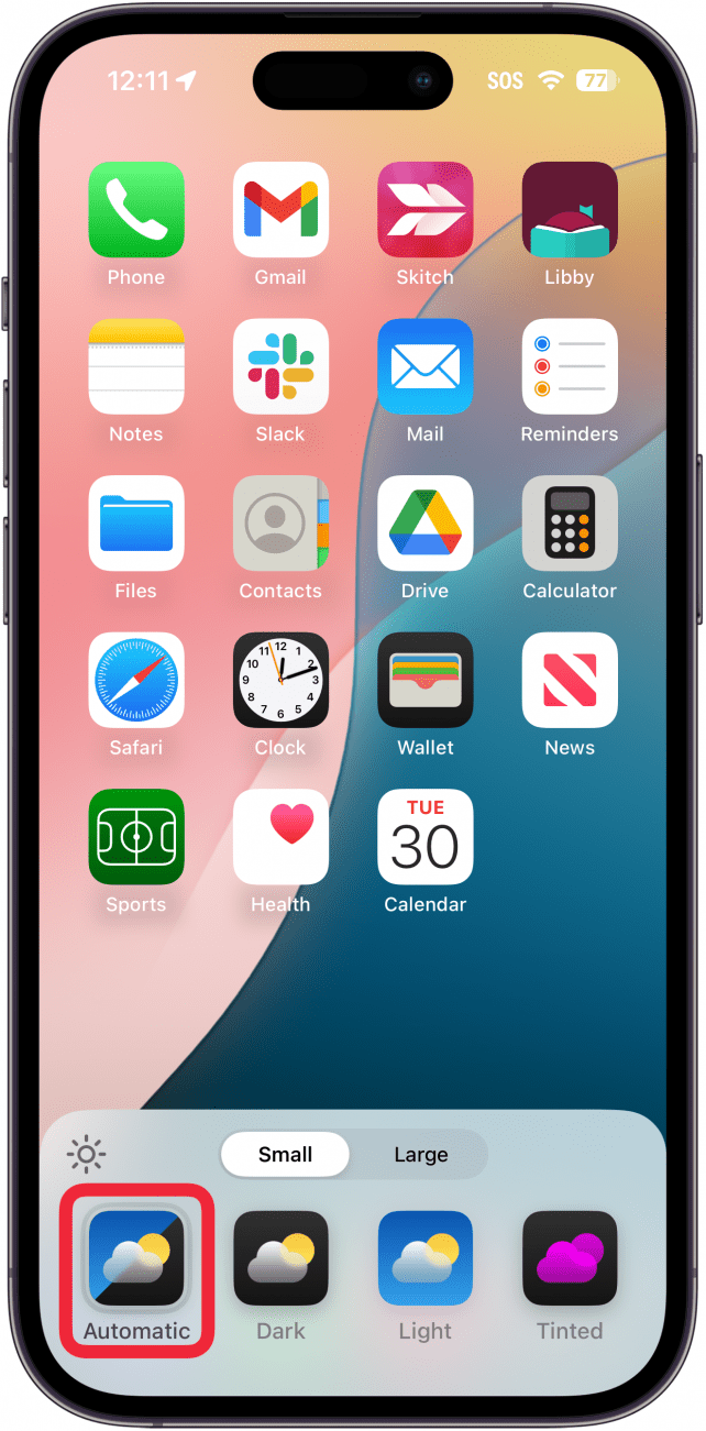 Anpassungsmenü für den iPhone-Startbildschirm mit einem roten Kästchen um die automatische Symboleinstellung