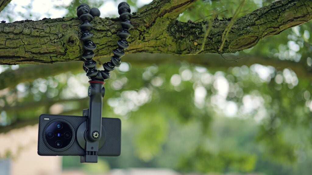 Joby GripTight GorillaPod für MagSafe an einem Baum befestigt