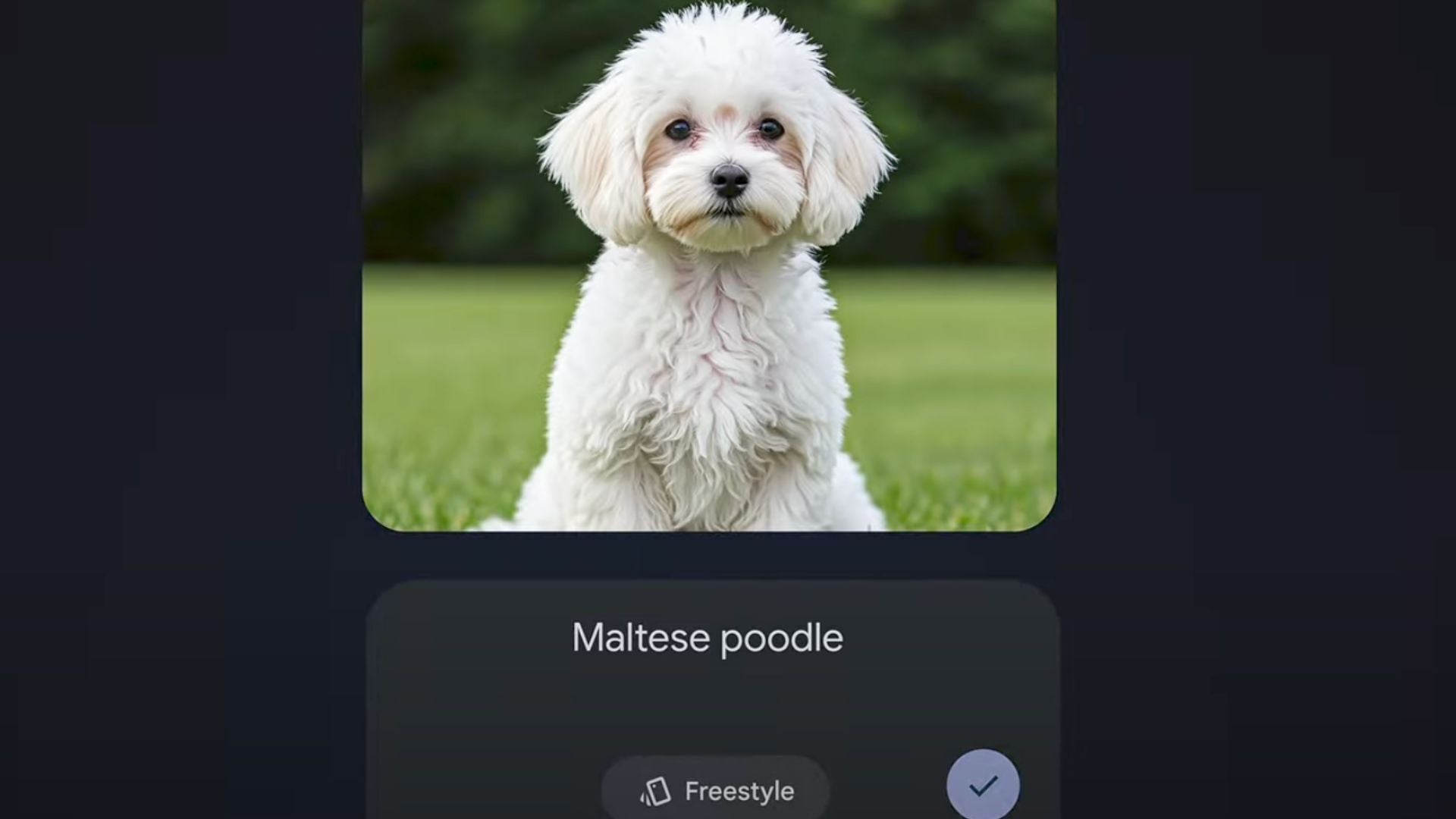 So verwenden Sie Google Pixel Studio