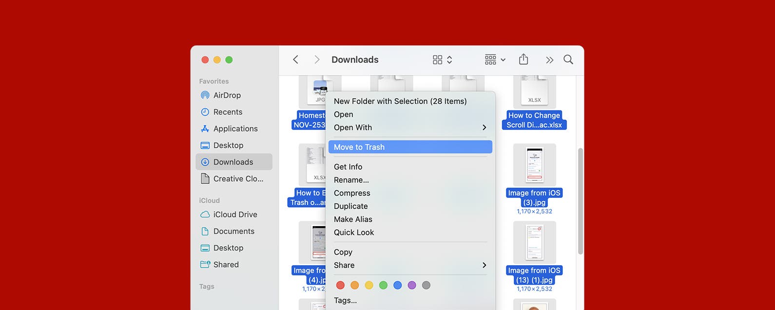 1727144665 So loeschen Sie Downloads auf dem Mac um Speicherplatz freizugeben