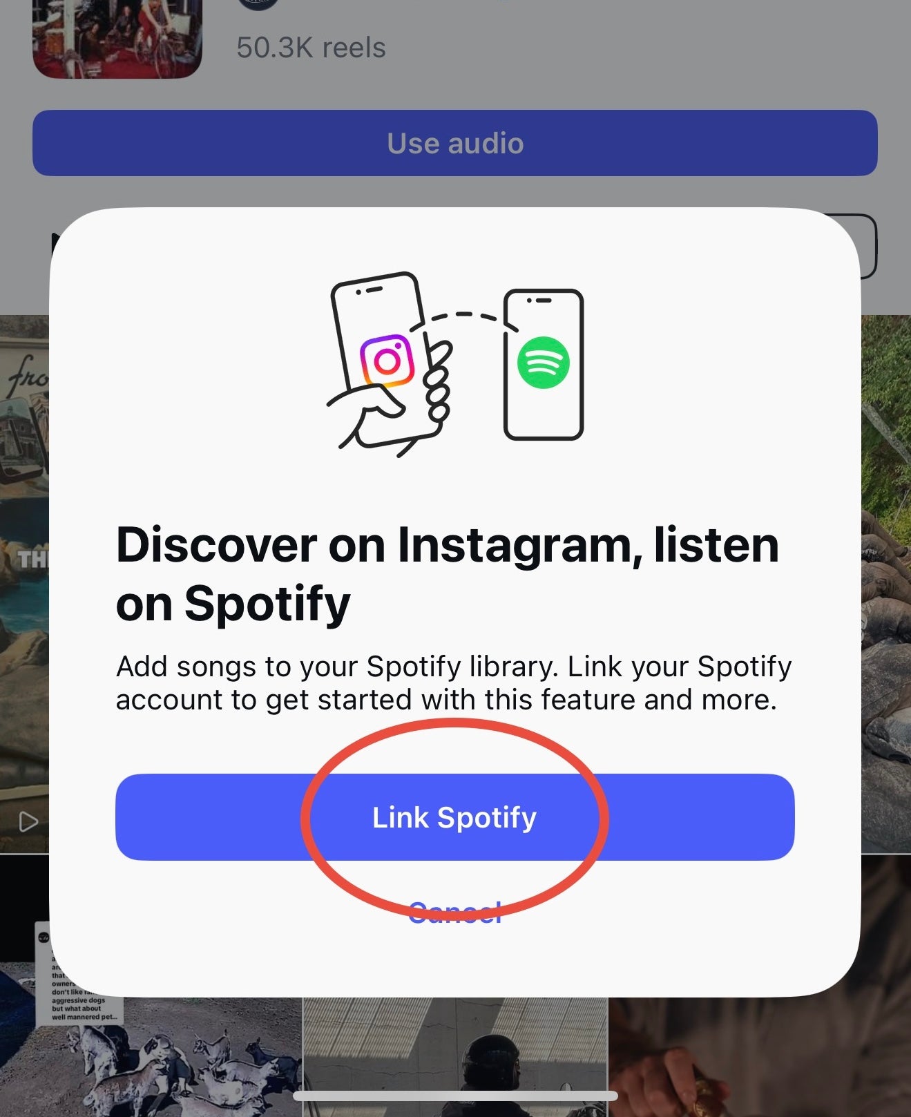 1729281635 369 So fuegen Sie Songs von Instagram zu Ihrer Spotify Bibliothek hinzu