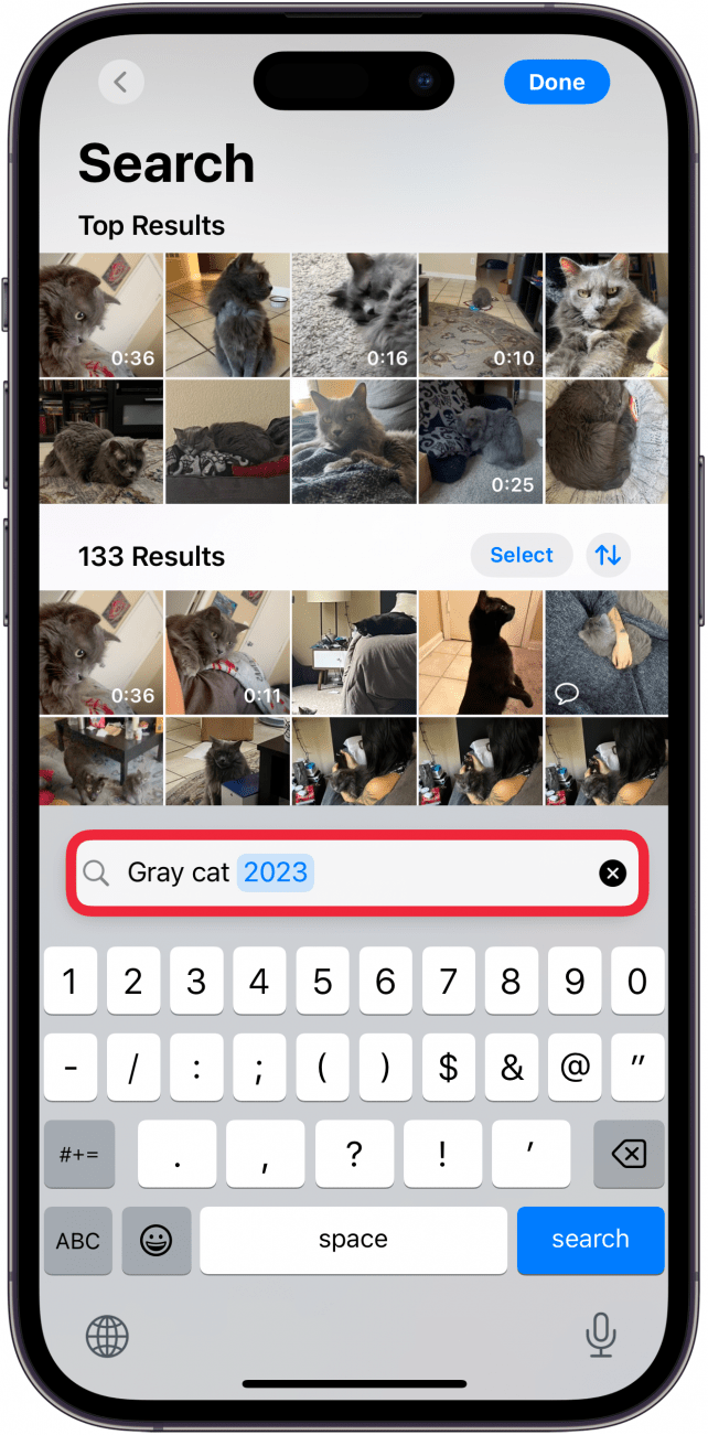 iPhone-Fotos-Suchergebnisse für Katzen mit einem roten Kästchen um die Suchleiste