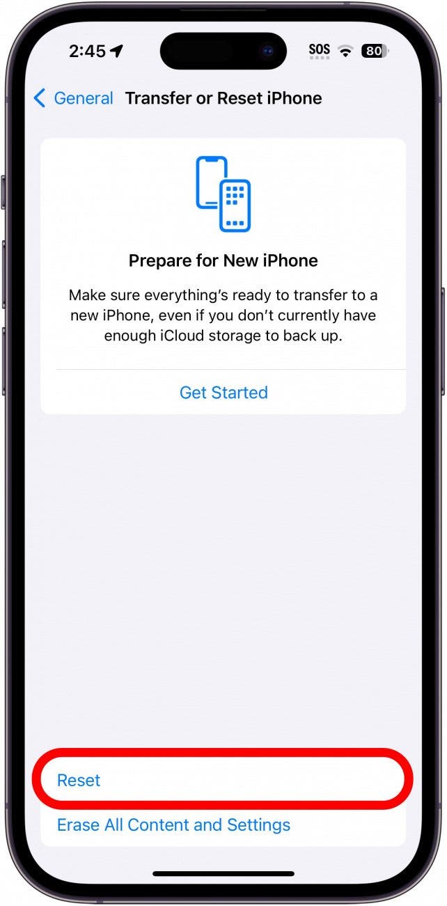 iPhone-Reset-Bildschirm mit rot eingekreister Reset-Taste