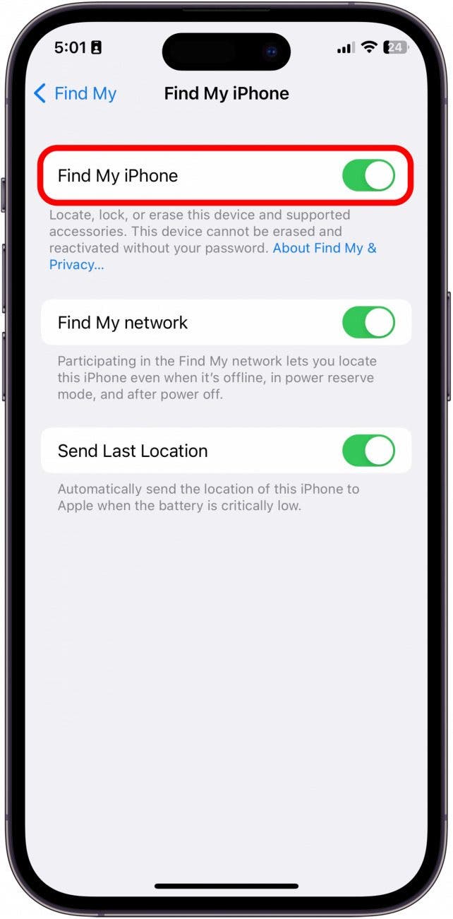 Schalten Sie „Mein iPhone suchen“ ein. Wenn es aktiviert ist, ist es grün.