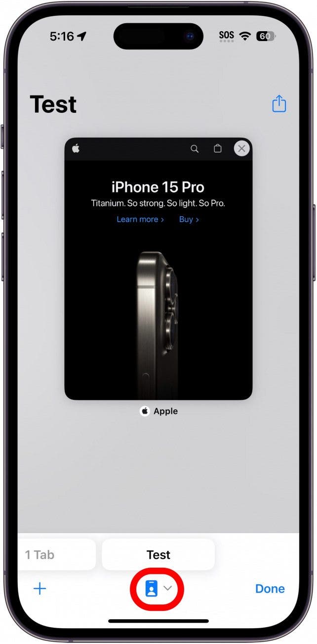 iPhone-Safari-Tab-Ansicht mit rot eingekreistem Profilsymbol