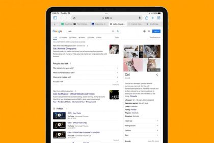 1729714345 Safari Tabs auf dem iPhone verschwunden So bekommen Sie sie zurueck