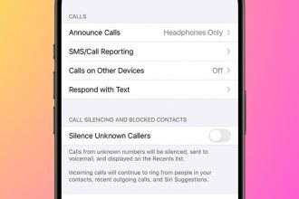 1729800036 So beheben Sie dass das iPhone ohne Klingeln direkt zur