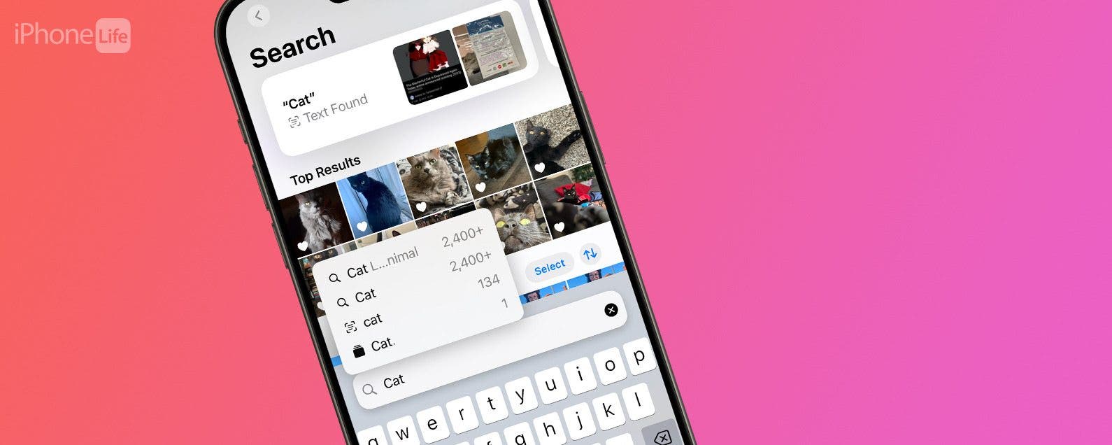 So durchsuchen Sie die neue Fotos App