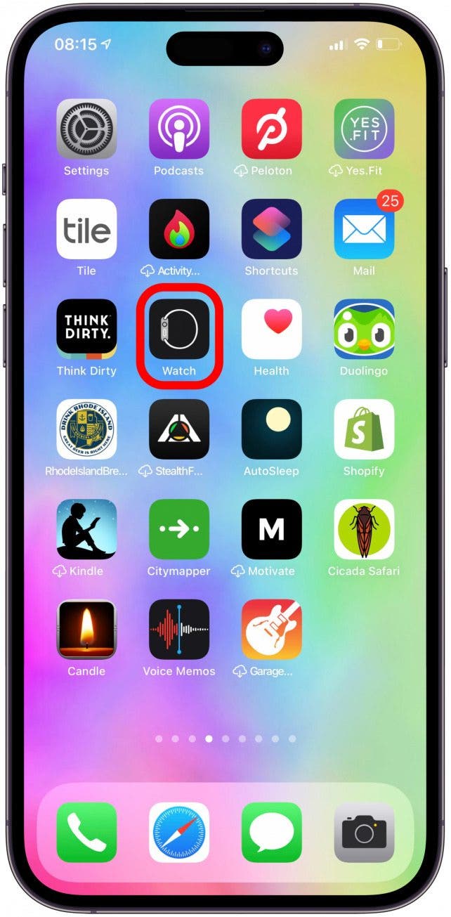 Öffnen Sie nach dem Herunterladen die Watch-App.
