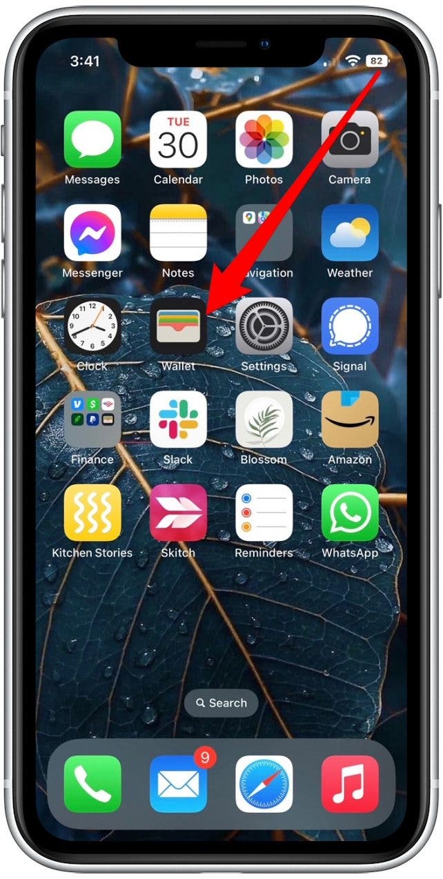 iPhone Anrufe wiederholt fehlgeschlagen Hier erfahren Sie wie Sie das Problem