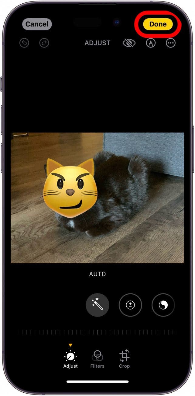 iPhone-Bildbearbeitungsprogramm mit vergrößertem Katzen-Emoji, das das Gesicht einer echten Katze auf dem Foto verdeckt, mit rot eingekreister Schaltfläche „Fertig“.