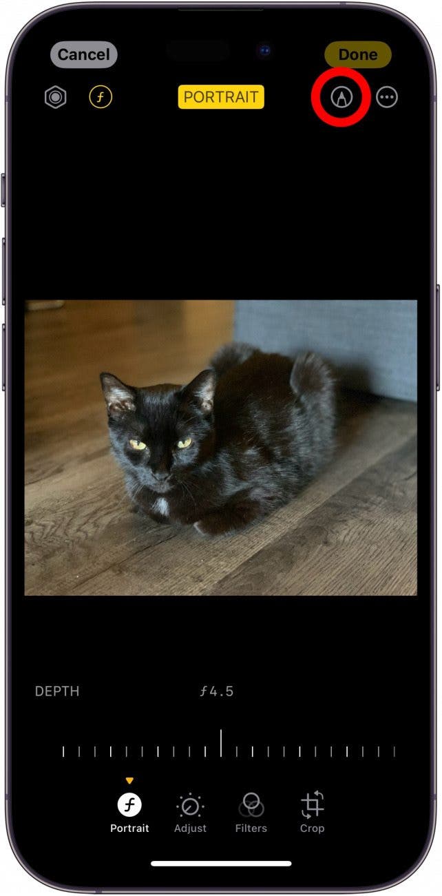 iPhone-Bildbearbeitungsprogramm mit rot eingekreister Markup-Schaltfläche