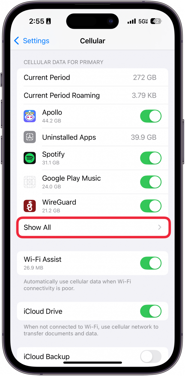 iPhone-Mobilfunkeinstellungen mit einem roten Kästchen um alles anzeigen