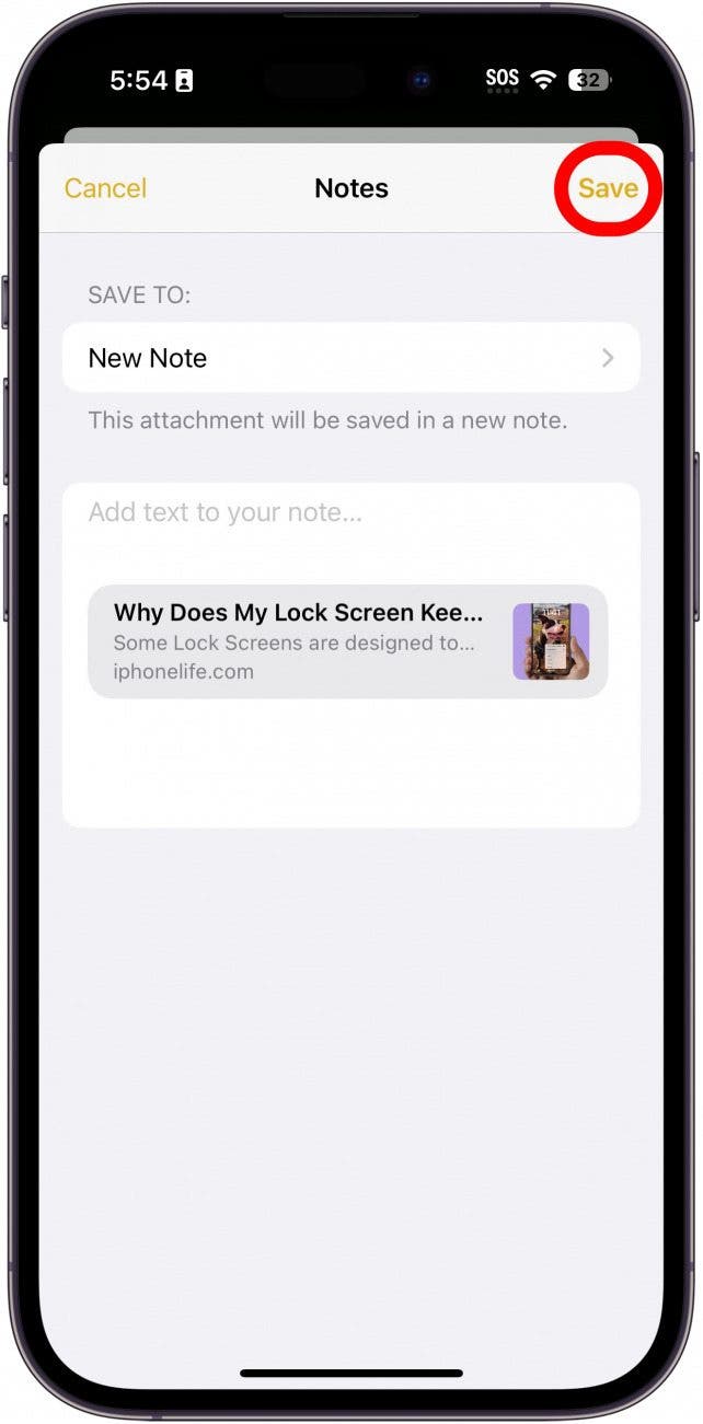 iPhone Share -Website zu Notizen Bildschirm mit Schaltfläche Speichern in rot eingekreist