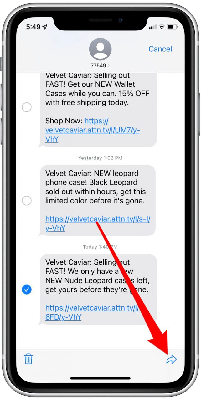 1739828181 441 So leiten Sie Textnachrichten auf dem iPhone weiter