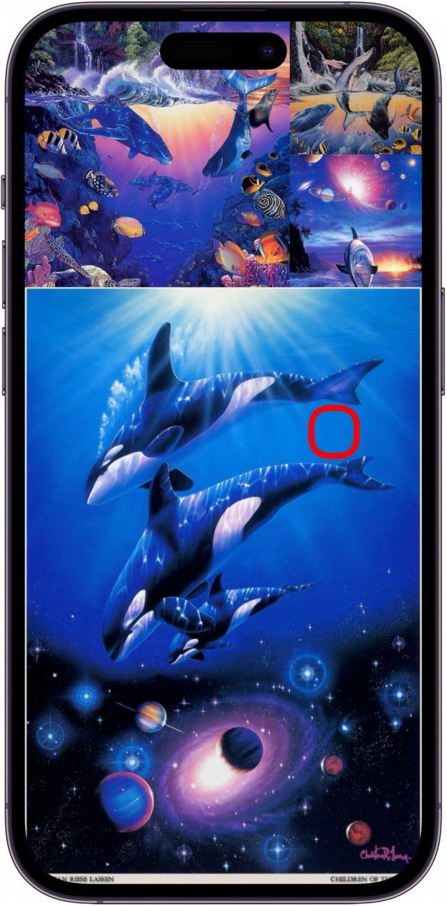 So machen Sie Diashow auf dem iPhone